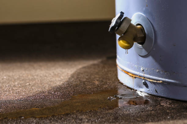 Best 24/7 water damage repair  in Peridot, AZ