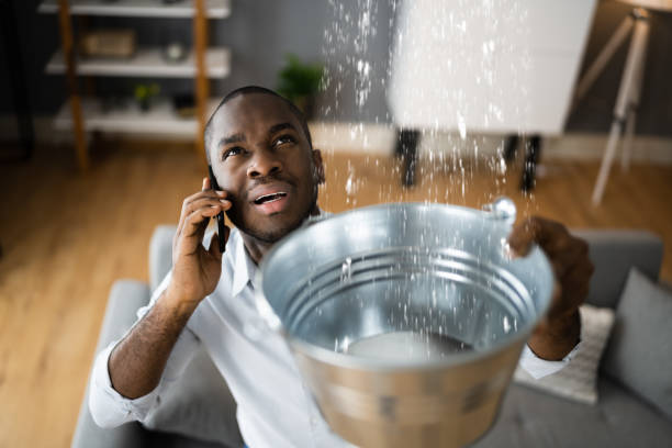Best Sewage cleanup and water damage restoration  in Peridot, AZ
