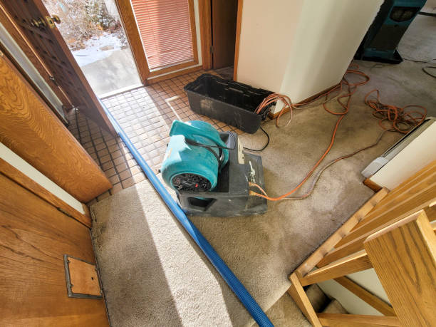  Peridot, AZ Water damage restoration Pros