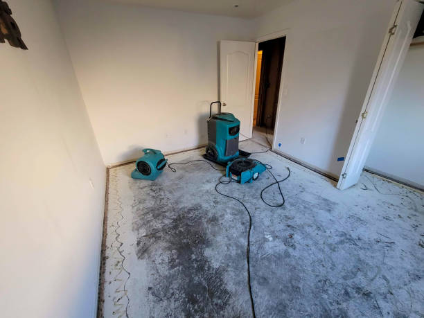 Best Commercial water damage restoration  in Peridot, AZ