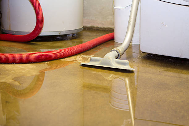 Best Water damage cleanup near me  in Peridot, AZ
