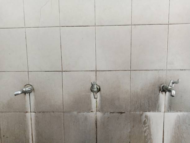 Best Fire Damage Restoration  in Peridot, AZ