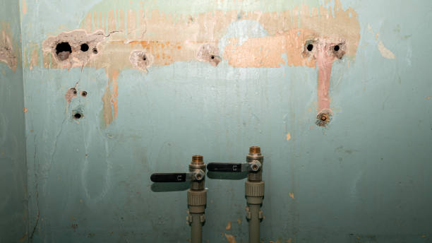 Best Professional water damage repair  in Peridot, AZ