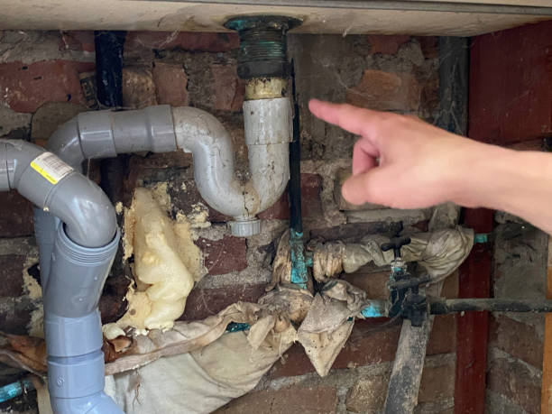 Best Water damage cleanup near me  in Peridot, AZ