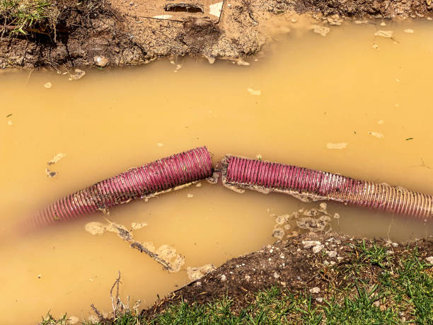 Best Water damage restoration near me  in Peridot, AZ