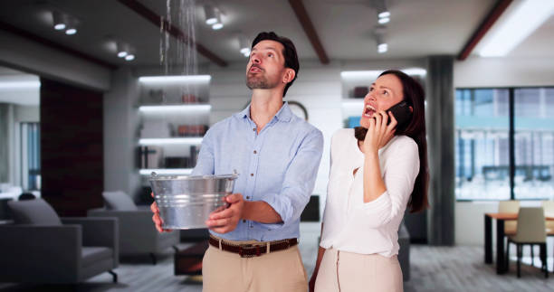 Best Ceiling water damage repair  in Peridot, AZ